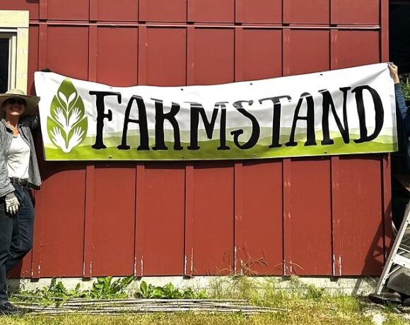 Community Harvest Basket Together program — Week 2